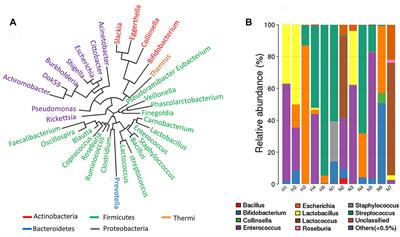 IgA-Targeted <mark class="highlighted">Lactobacillus jensenii</mark> Modulated Gut Barrier and Microbiota in High-Fat Diet-Fed Mice